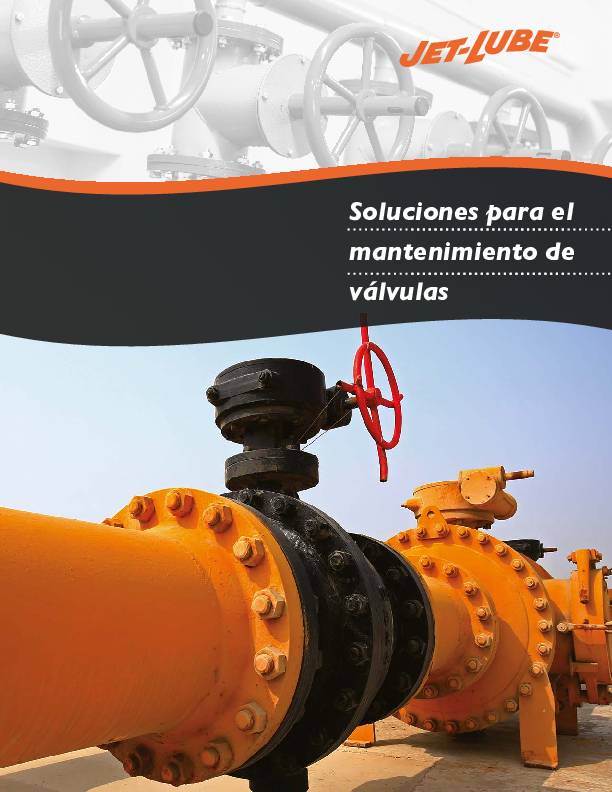 BR_Soluciones para el mantenimiento de válvulas_Spanish