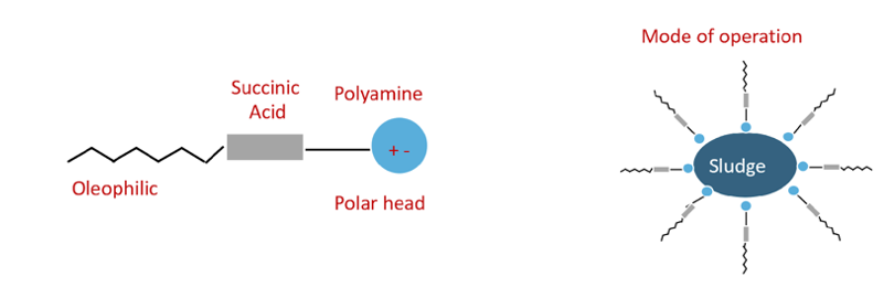 dispersants infographic
